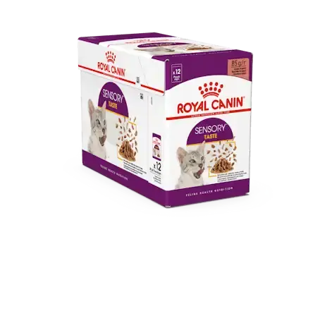 Prissänkt - RC Sensory Taste Gravy 12x85g