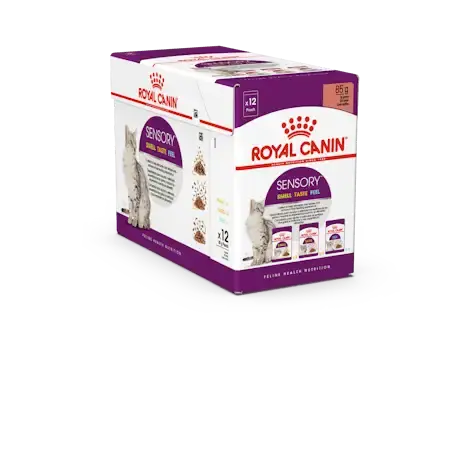 RC Sensory Mixed box Gravy 12x85g | Spara nu