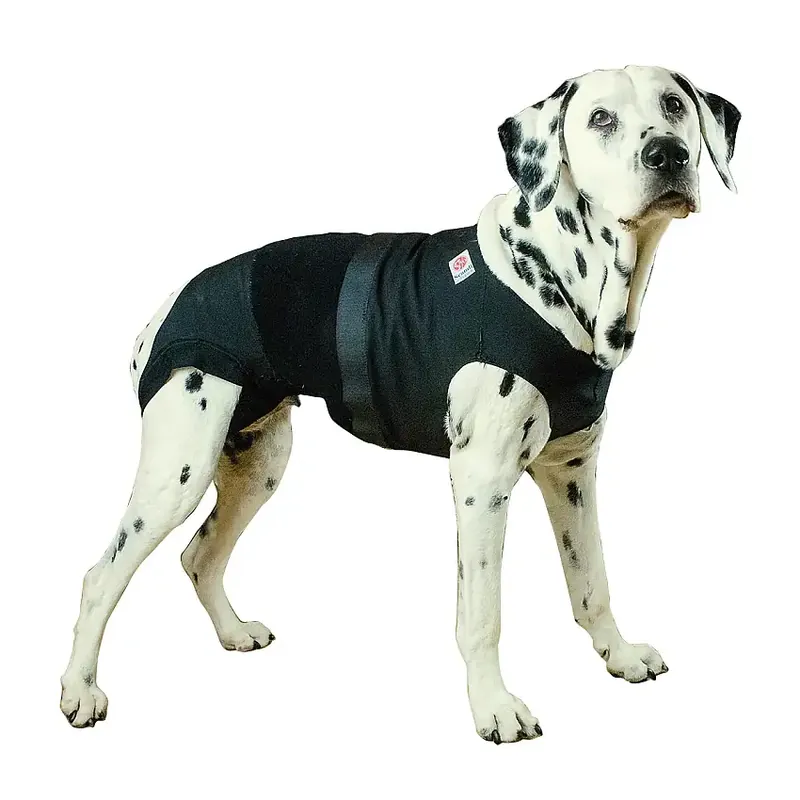 Scandi Orthopedic Medical Protection Cover, body | Under begränsad tid