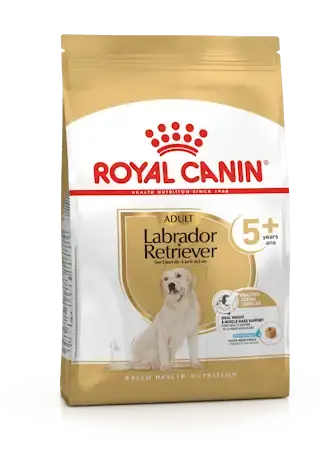 RC Breed Labrador Retr Adult 5+ 12kg | Efterfrågad