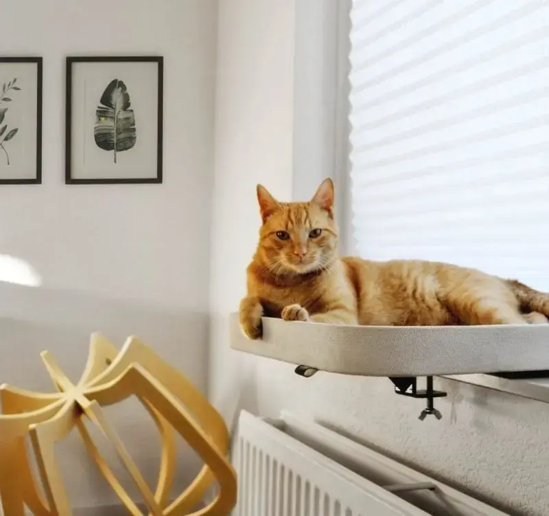 Mycket efterfrågad | Kattsäng fönsterbräda Kyo naturvit