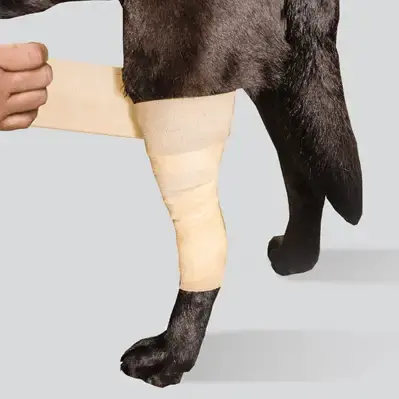 Snabb leverans | Scandi Orthopedic Kylbandage CCT