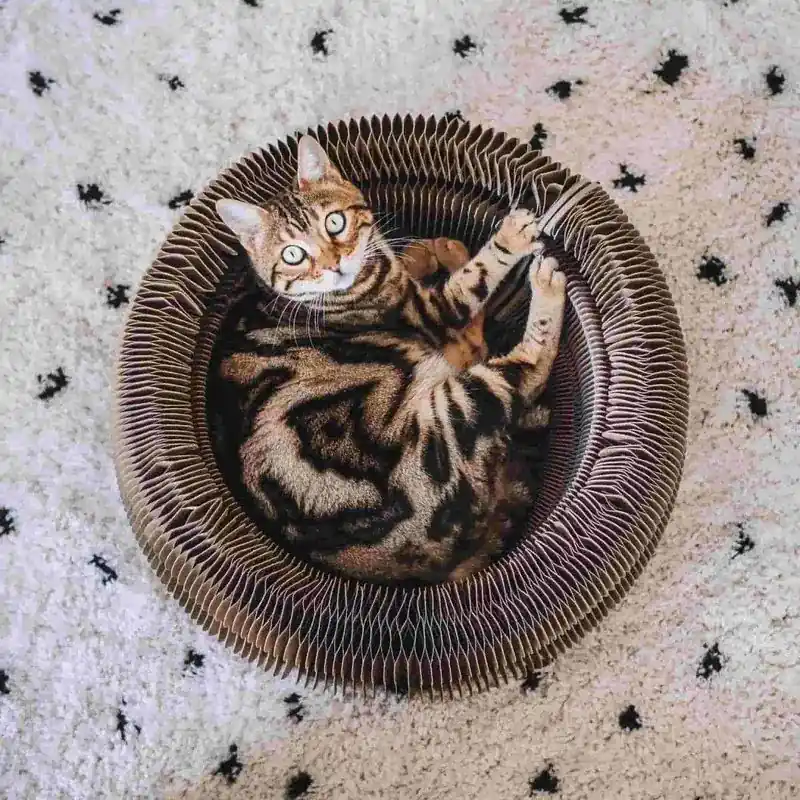 Kattbädd District 70 MAZE - Erbjudandet går snart ut