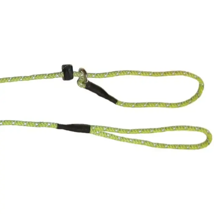 Kampanjpris | PetNation Retriever Lime – Retrieverkoppel med flätad reflex