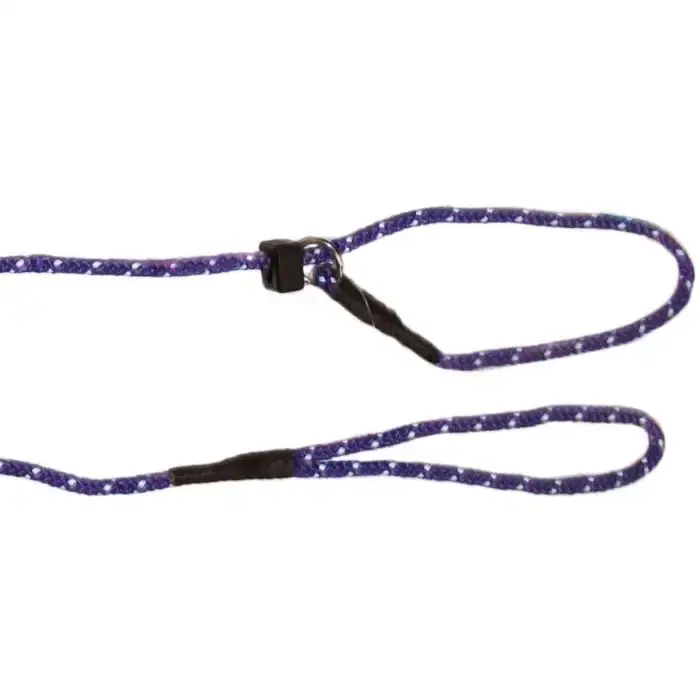Kampanjpris - PetNation Retriever Lila – Retrieverkoppel med flätad reflex