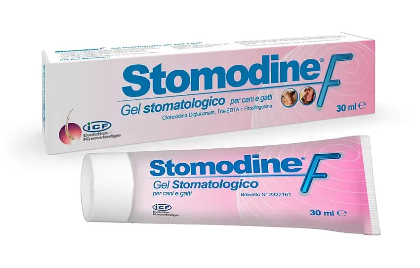 Köp nu - Mungel ICF Stomodine F 30 ml