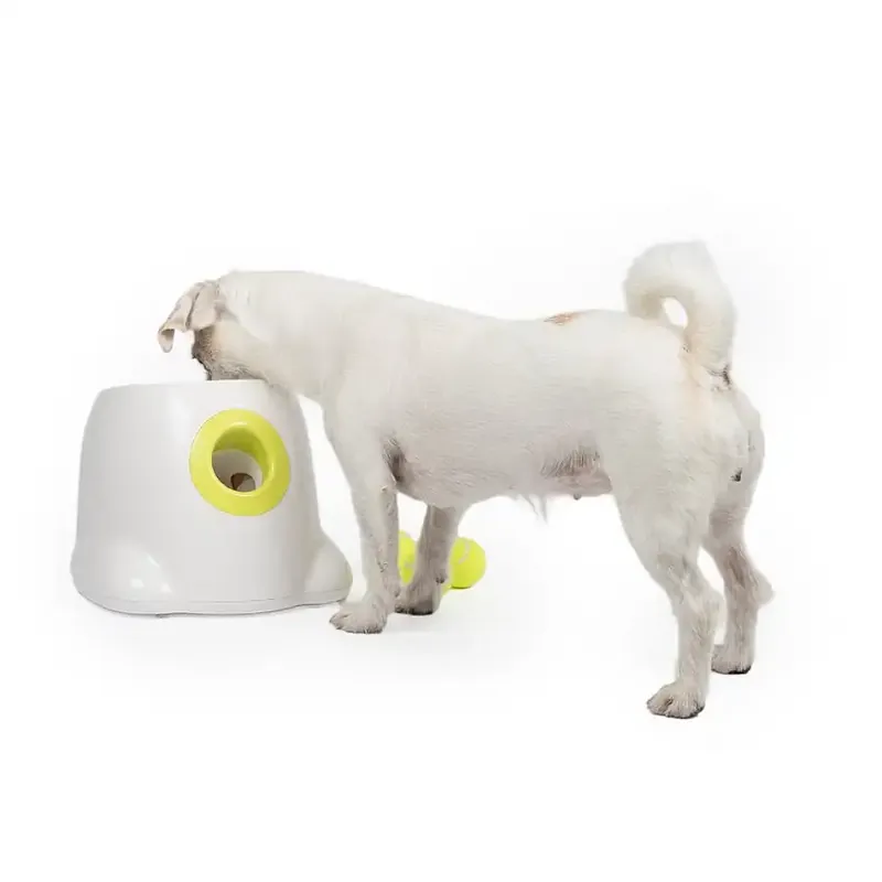All For Paws HyperFetch Bollkastare Mini | Premium