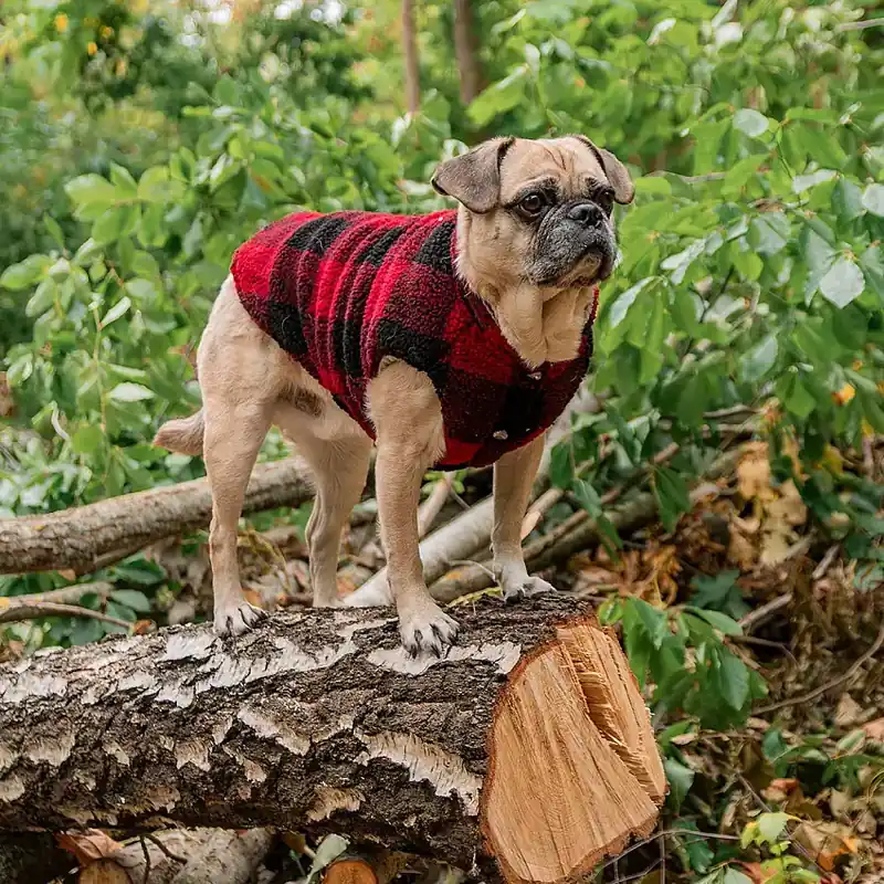 Precis inkommet - FuzzYard The Lumberjack Hundjacka Röd/Svart