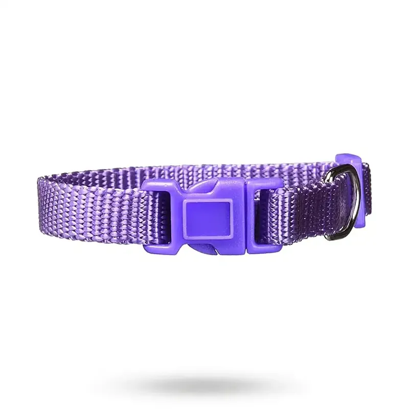 Nylonhalsband Viol – Small | Kan beställas online