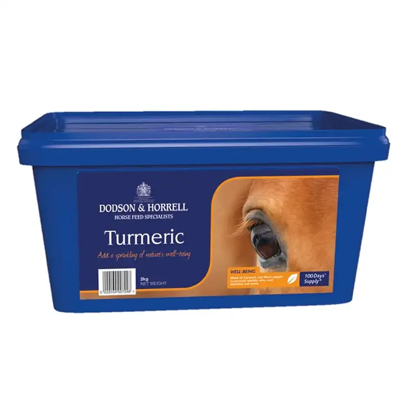 Bästsäljare - Gurkmeja Turmeric 2 kg