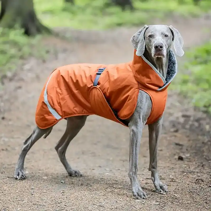 Topprodukt | Pomppa Toppa Vintertäcke Hund Rust