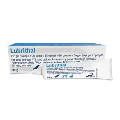 Dechra Lubrithal Ögongel 15 g - Missa inte
