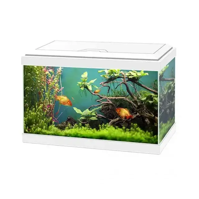 Ciano – Akvarium – Aqua 20 LED – Vitt – 17 liter - Riktigt fynd