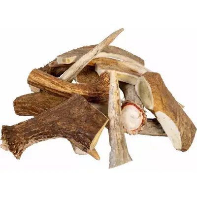 Vilthorn Wild Antlers | Hög kvalitet