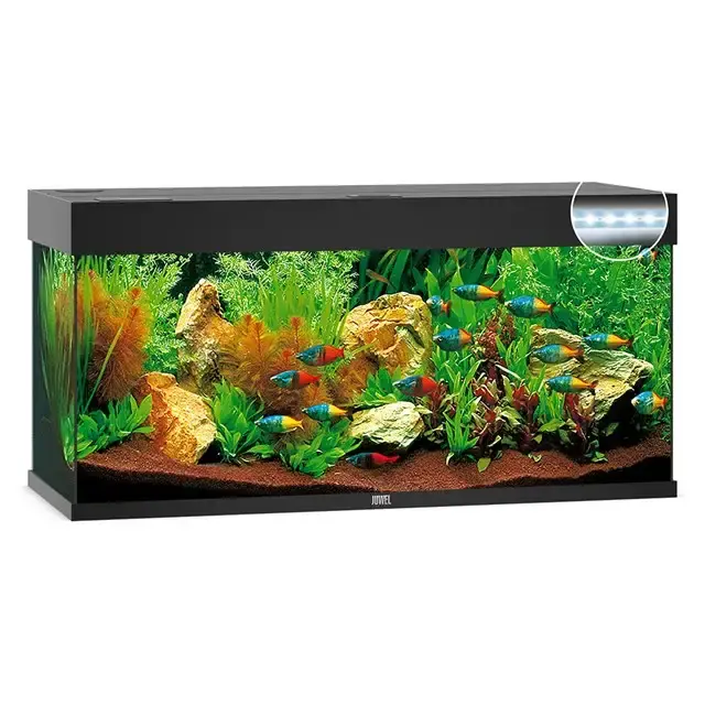 Juwel Rio 240 liter LED – Svart | Nyligen tillagt
