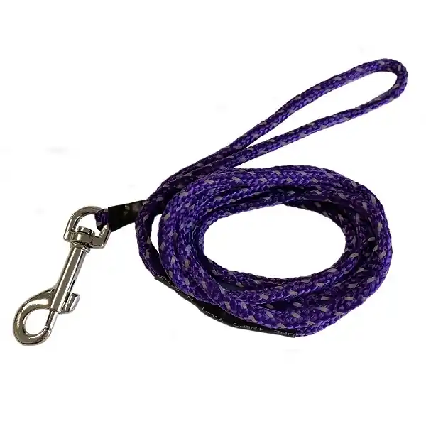 PetNation hundkoppel med reflex – lila | Finns i lager