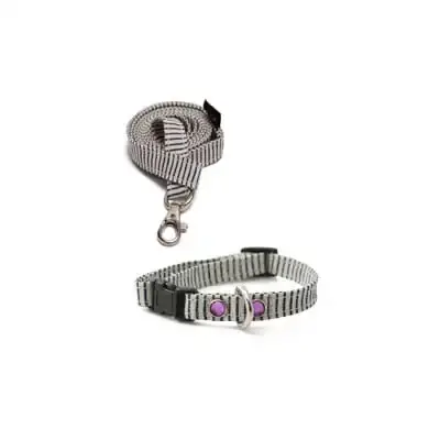 Original Randigt Halsband + Koppel Mörkblå - Kampanjen går snart ut