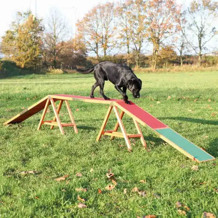 Erbjudande | Trixie Agility Ramp – Stadig Agility ramp med säkert grepp