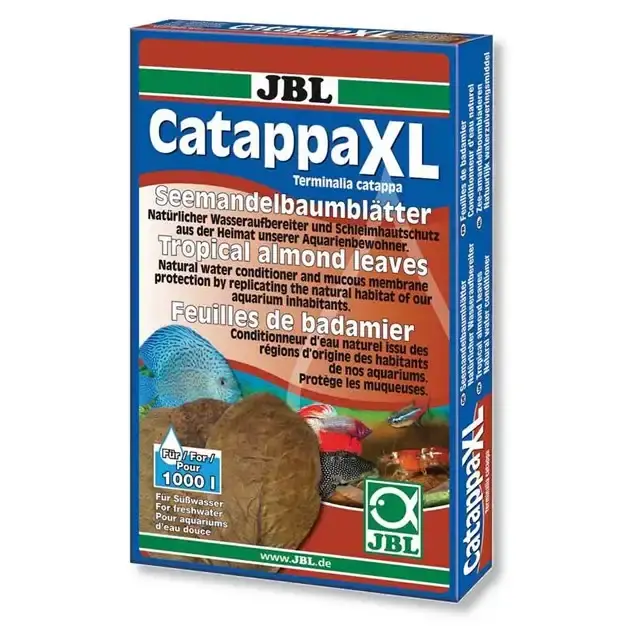 JBL Catappa – Xl – 24 cm – 10 Blad - Nyligen tillagt