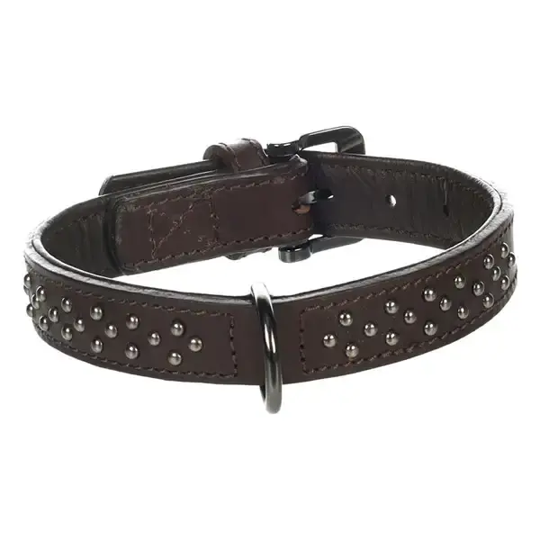 Halsband L 41-50cm 35mm Denver läder/nitar brun | Professionell kvalitet