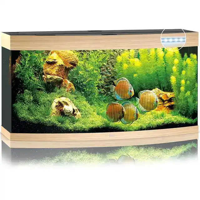 Juwel Vision 260 liter LED – Ek - Extra bra pris
