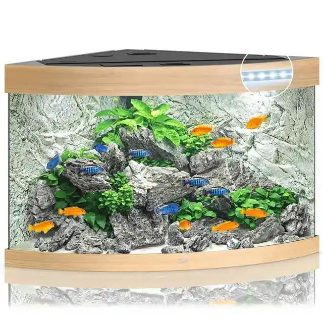 Juwel Trigon 190 liter LED – Hörnakvarium – Ek - Rea