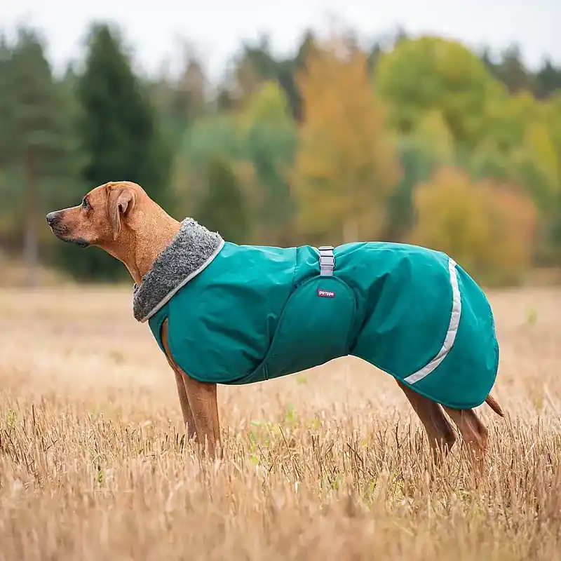 Specialerbjudande | Pomppa Toppa Hundtäcke för Sele Forest