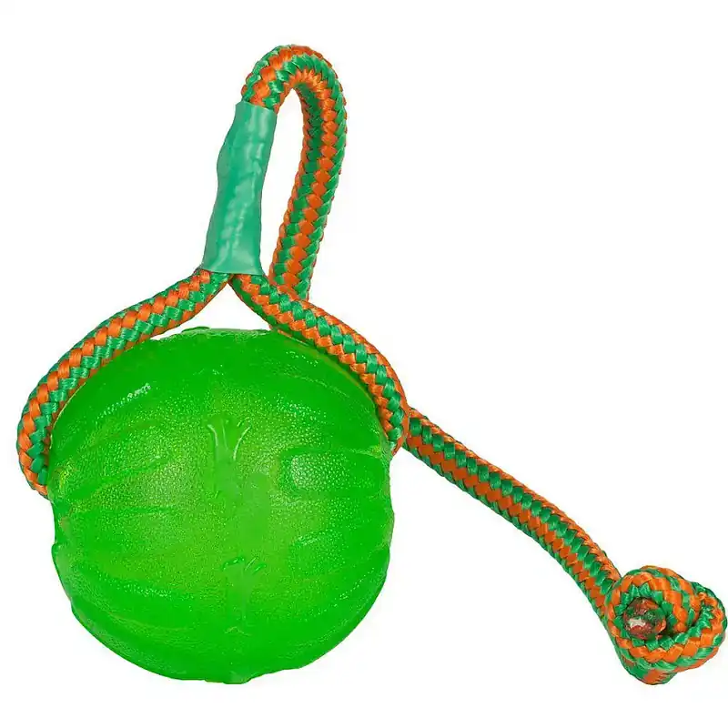 Bästa pris | Starmark Swing n’ Fling Chewball med rep, grön