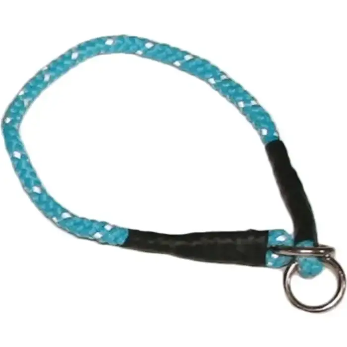 Snabb frakt | PetNation Helstryp Blå – Dressyrhalsband med flätad reflex