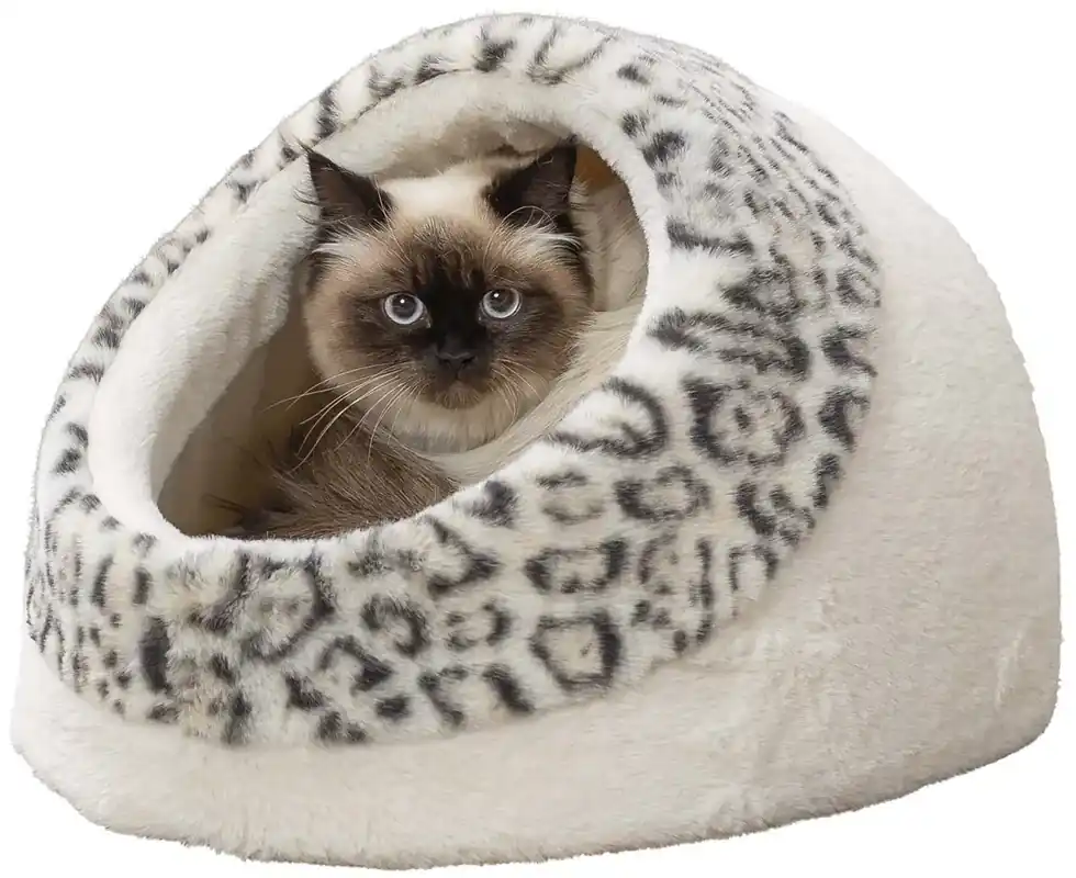 Beställ online - Kattigloo ljus leopard