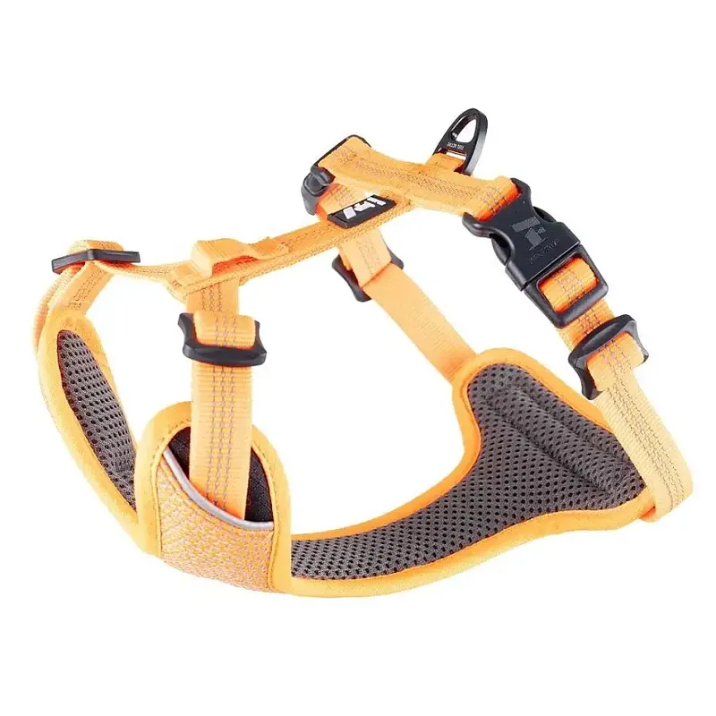 Handla online | Feel Active Reflective Hundsele Orange