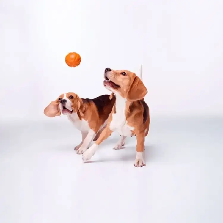 LIKER Boll - Köp nu