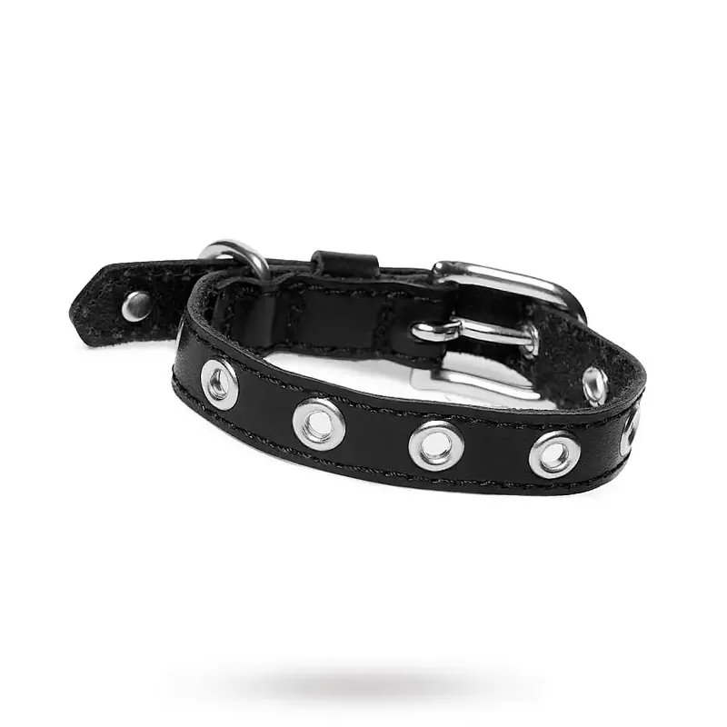 ROCK Black – Läder Hundhalsband - Försäljningssuccé