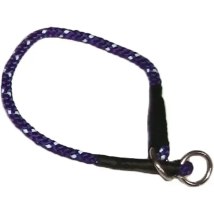 Efterfrågad - PetNation Helstryp Lila – Dressyrhalsband med flätad reflex