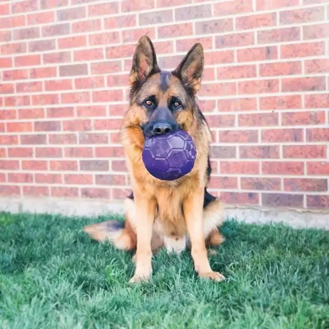 Sista chansen - Kong Flexball M/L Ø15,5cm