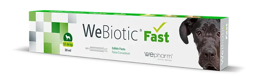 Kosttillskott WePharm WeBiotic Fast 30 ml 12-36 kg - Handla online