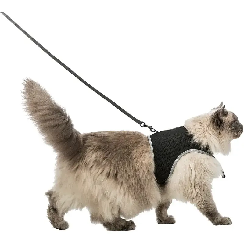 Snart slut - Kattsele mjuk med koppel XXL, 36-54 cm, svart