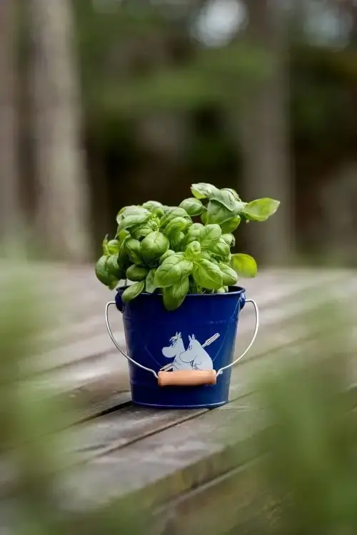 Mumin Hink 2L (Blå) | Populärt just nu