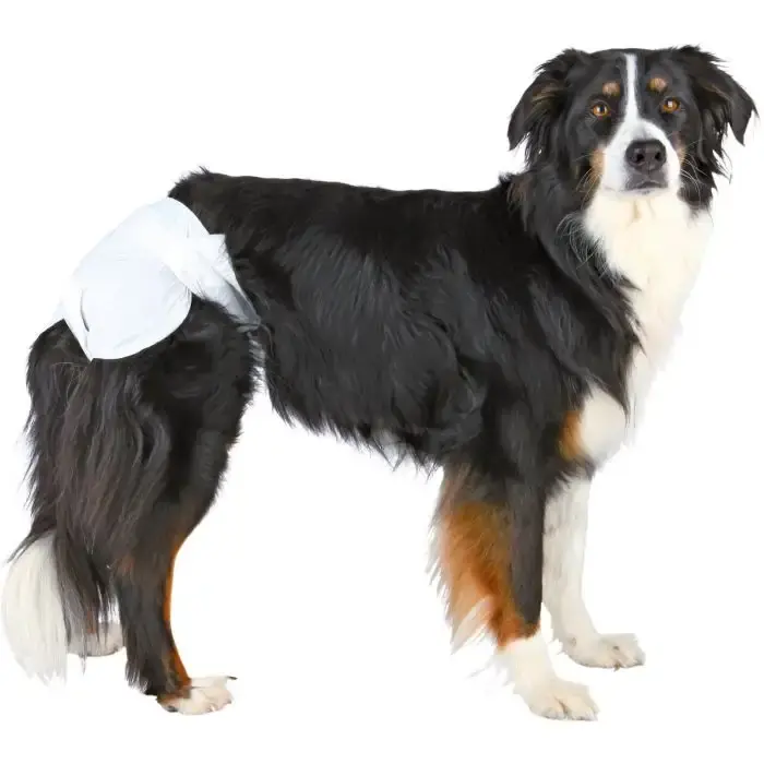 Hög kvalitet | Trixie Blöjor 12p Tik – Praktiska och bekväma blöjor för tikar