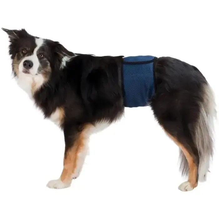 Ny produkt | Trixie Hanhundsskydd – Skydd för hanhundar som småskvätter