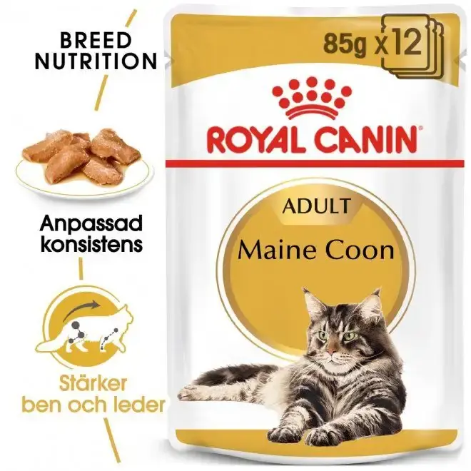 Försäljningssuccé | Royal Canin Maine Coon Wet 12x85g