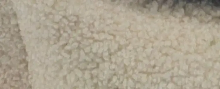 Tillverkarpris - CAZO Hundbädd Oval Mirson Beige