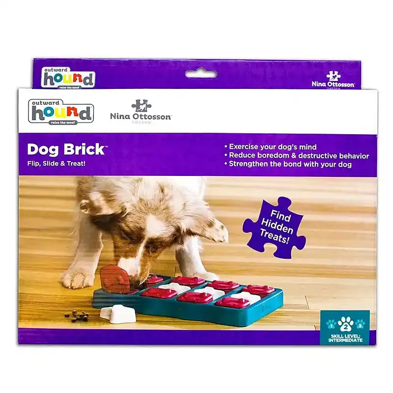 Aktiveringsleksak Brick 2 Turkos-333169 | Professionell kvalitet