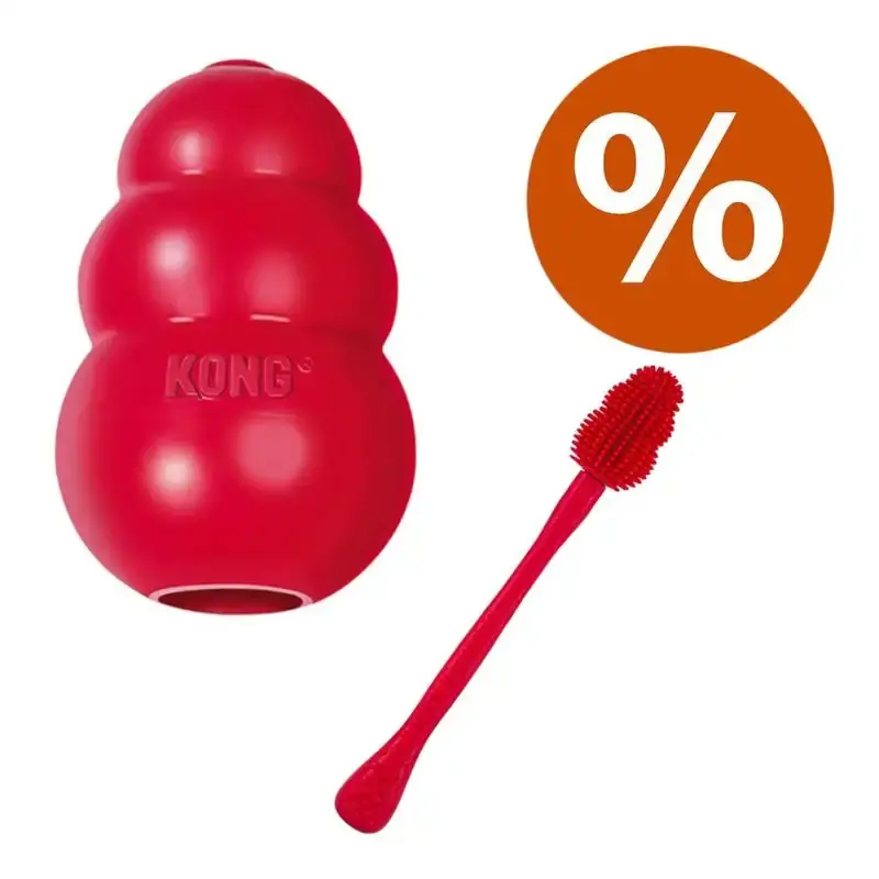 Sparset KONG Classic + KONG rengöringsborste-1963019.2 - Erbjudande