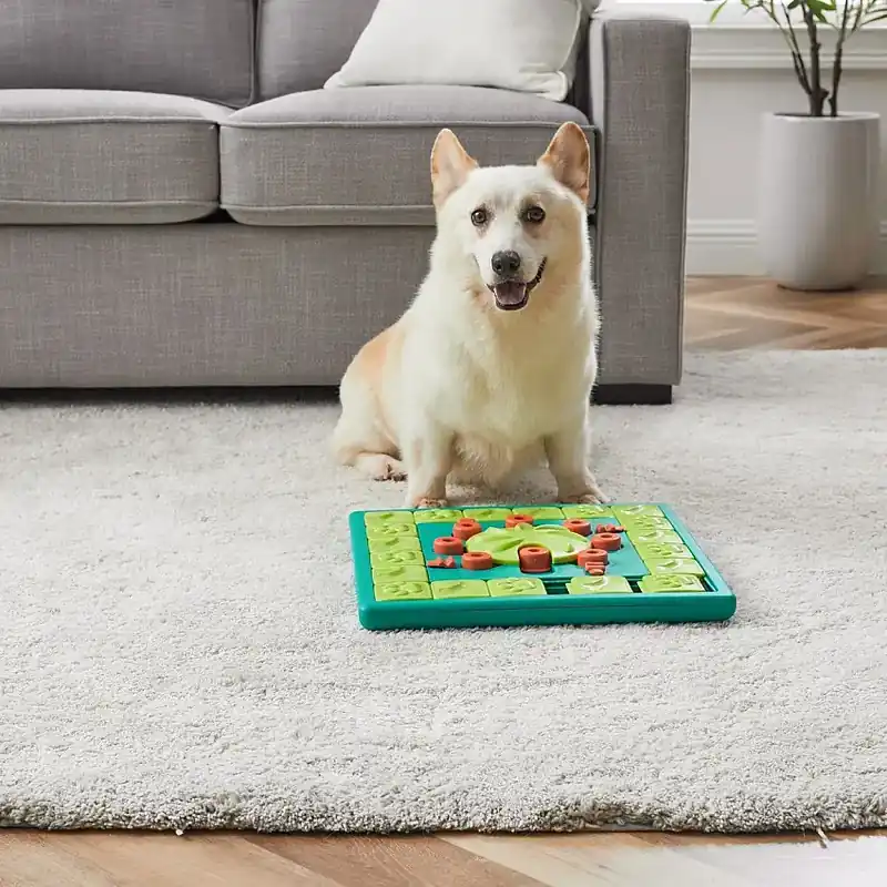 Nina Ottosson Dog Multi Puzzle Grön | Försäljningssuccé