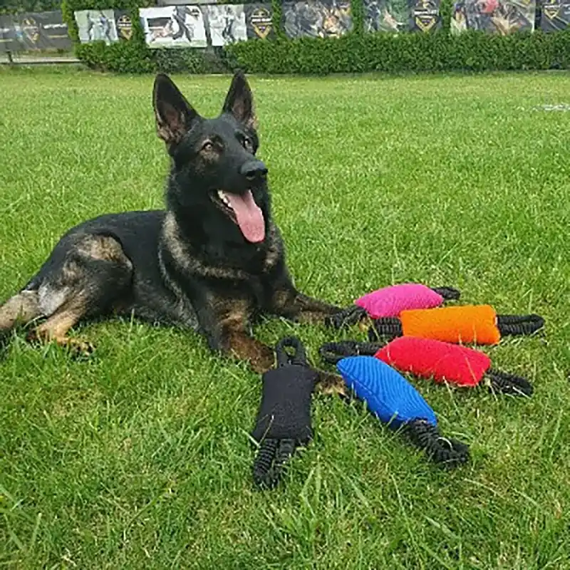 Dingo Gear Bungee Kampkudde med Handtag - Handla säkert