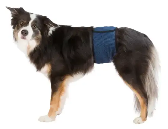 Hanhundsskydd, S 29-37 cm, mörkblå - Kanonerbjudande