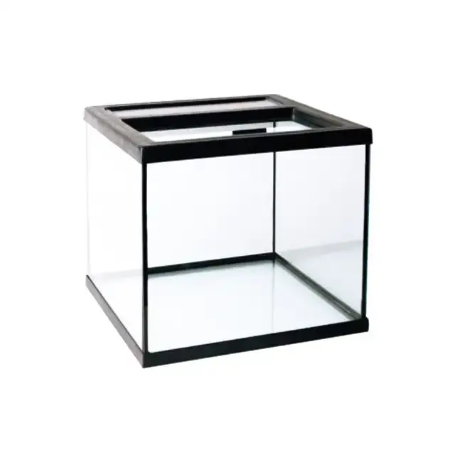 Glasterrarium – Topp – 28x28x26 cm | Dagens erbjudande