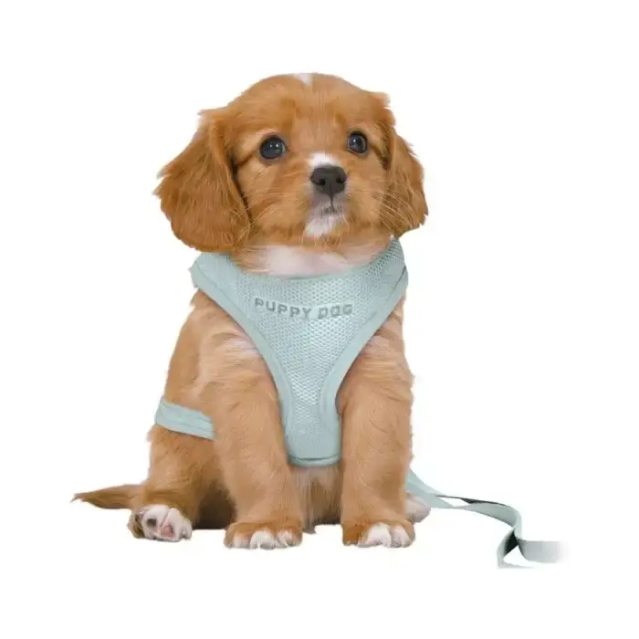 Passa på | Trixie Valpset Junior Soft Mint – Valpset med mjuk sele och justerbart koppel
