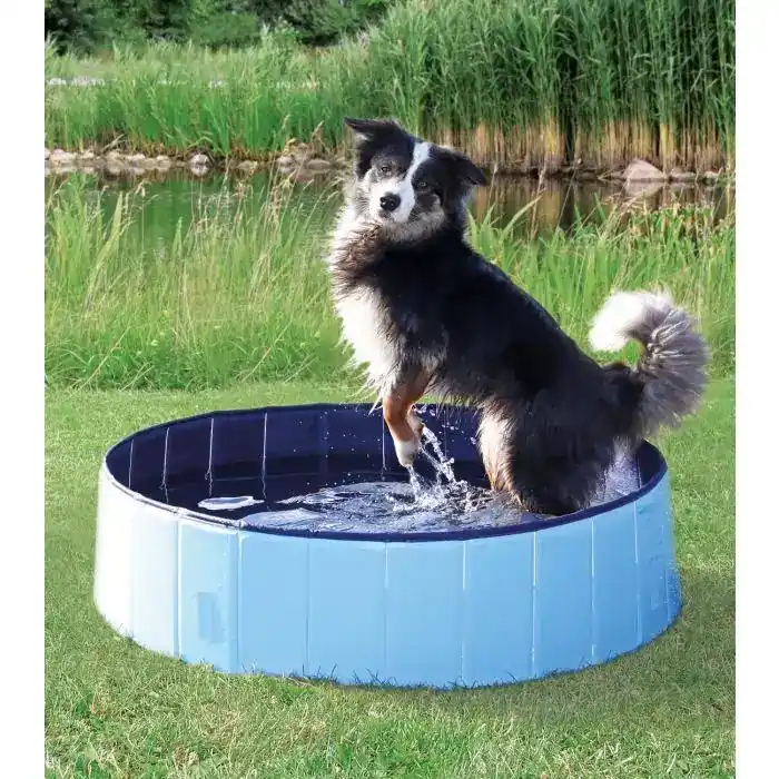 Beställ online | Trixie Hundpool – Skön och svalkande hundpool